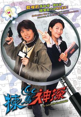 栋笃神探国语 第20集