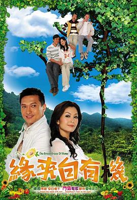 缘来自有机粤语 第18集
