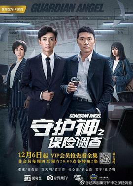 守护神之保险调查国语 第28-29集