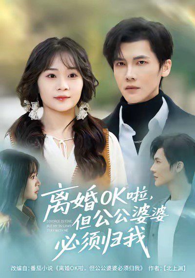 离婚OK啦，但公公婆婆必须归我(全集)