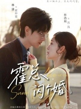 霍总闪个婚(全集)
