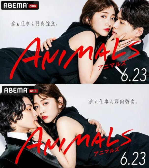 动物 ANIMALS(全集)